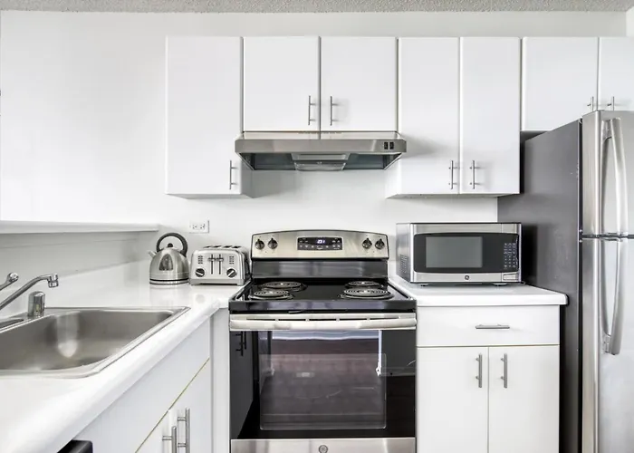 Apartment Streeterville W Gym Pool Nr Navy Pier Chi-410 *