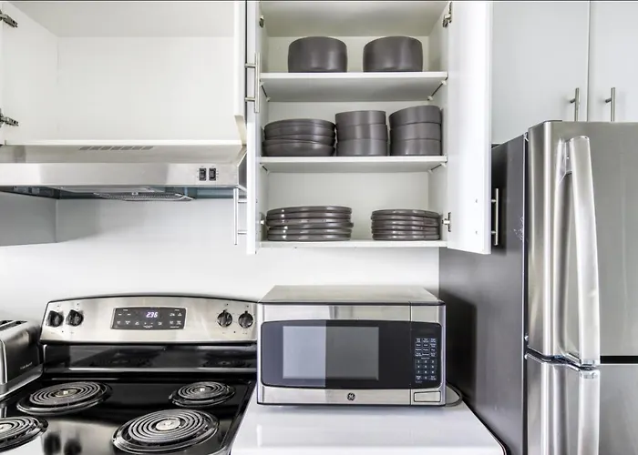 Streeterville W Gym Pool Nr Navy Pier Chi-410 Apartment *